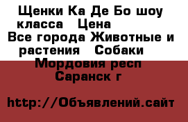 Щенки Ка Де Бо шоу класса › Цена ­ 60 000 - Все города Животные и растения » Собаки   . Мордовия респ.,Саранск г.